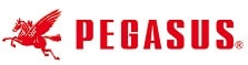 PEGASUS